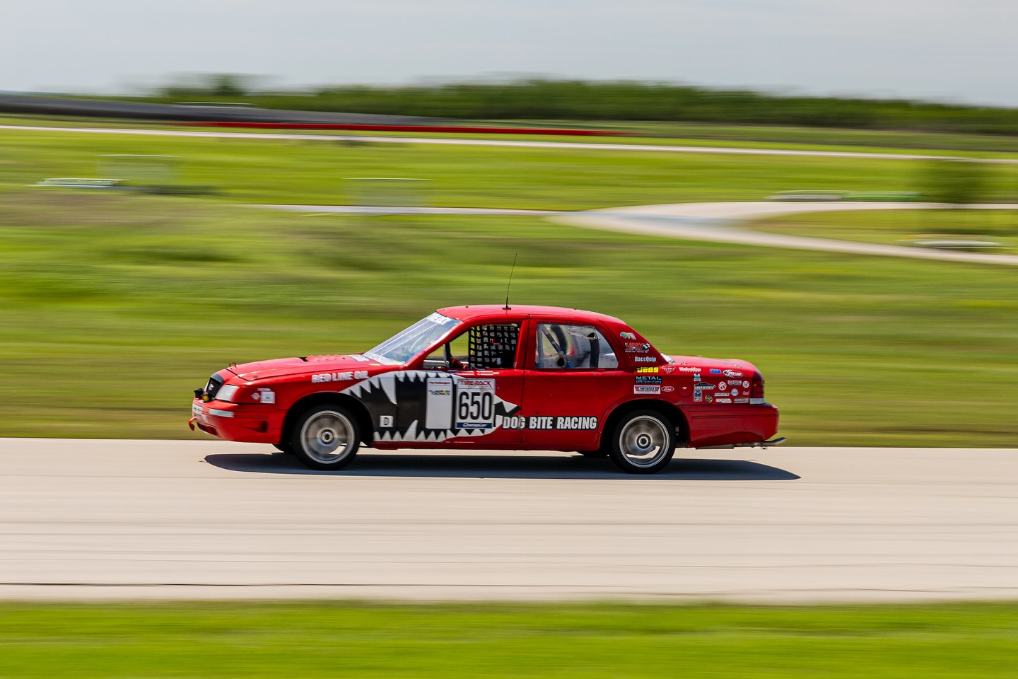 Dog Bite Racing 2026